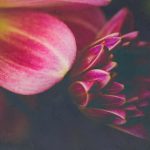 银河娱乐城平台:让你体验前所未有的游戏乐趣 0nncnyl