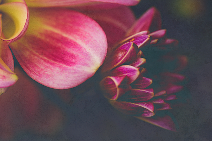 银河娱乐城平台:让你体验前所未有的游戏乐趣 银河娱乐城平台:让你体验前所未有的游戏乐趣