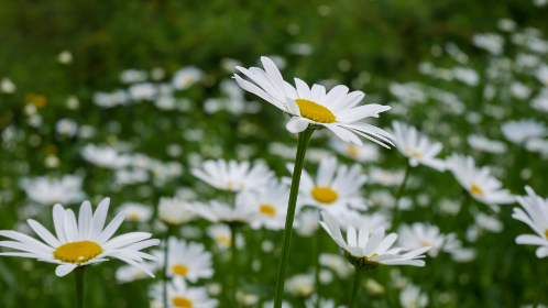 DYS直播爆笑名场面盘点，全程高能不容错过！