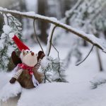 钻石娱乐网站免费进入,带你体验无与伦比的在线娱乐 n53gz