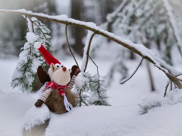 钻石娱乐网站免费进入,带你体验无与伦比的在线娱乐 钻石娱乐网站免费进入,带你体验无与伦比的在线娱乐