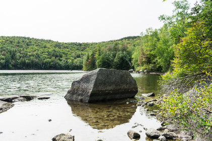 钻石平台的优势：为何越来越多人选择在线购买