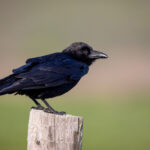 韦德国际平台:探索全球顶级在线娱乐平台的魅力 0re10fl549