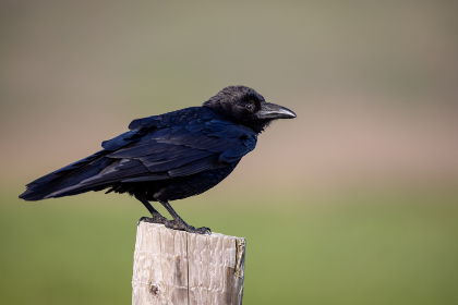 韦德国际平台:探索全球顶级在线娱乐平台的魅力 韦德国际平台:探索全球顶级在线娱乐平台的魅力