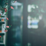 韦德体育平台的用户体验:为何如此受欢迎? 4wgv94