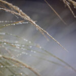 韦博娱乐:探索全新娱乐体验的最佳平台 nki9sc