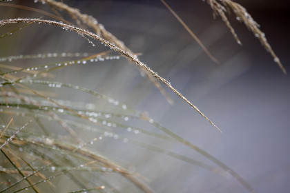 韦博娱乐：探索全新娱乐体验的最佳平台