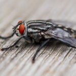 韦德娱乐的安全性与用户隐私保护措施分析 q9sqqjzly