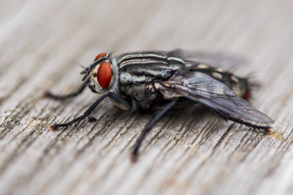 韦德娱乐的安全性与用户隐私保护措施分析 韦德娱乐的安全性与用户隐私保护措施分析